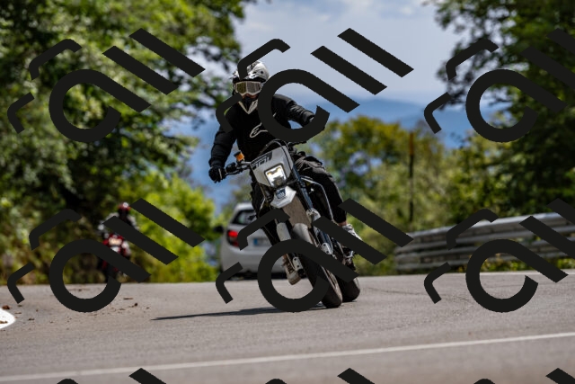 202508311511-_DSC7386_d2_