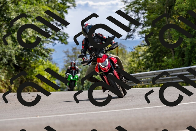 202508311512-_DSC7397_d2_