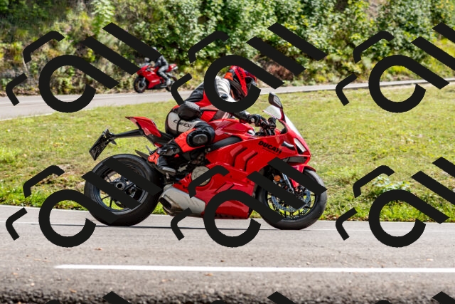 202508311518-_DSC7429_d2_