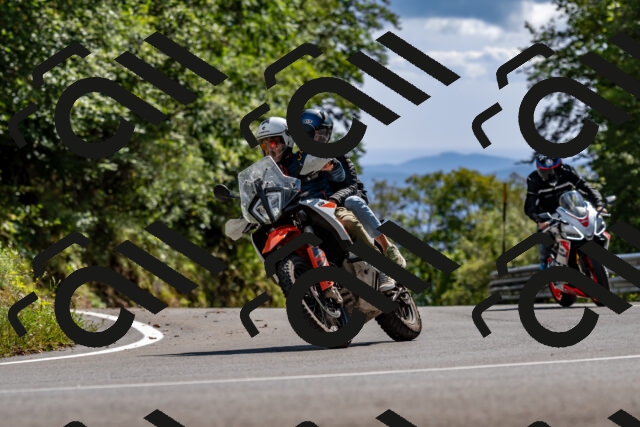 202508311525-_DSC7441_d2_