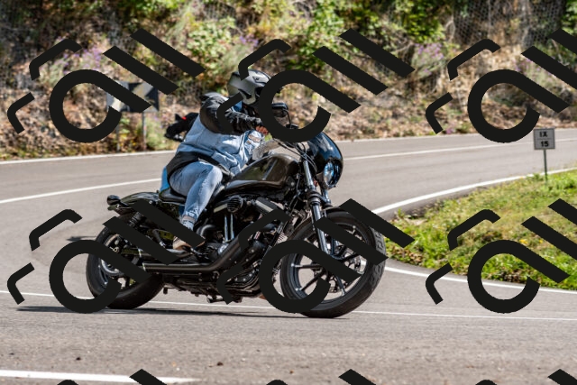 202508311529-_DSC7470_d2_