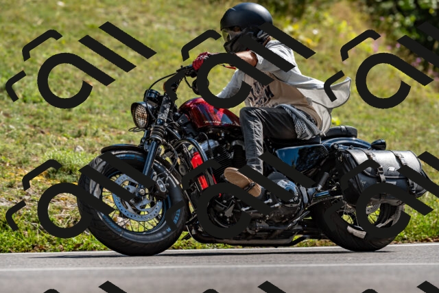 202508311529-_DSC7472_d2_