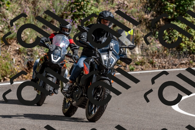 202508311533-_DSC7487_d2_