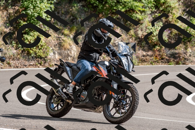 202508311533-_DSC7488_d2_