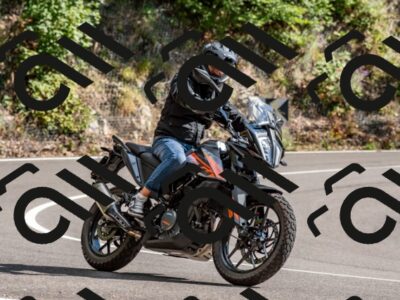 202508311533-_DSC7488_d2_