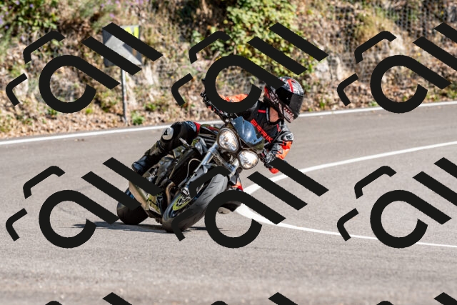 202508311539-_DSC7517_d2_