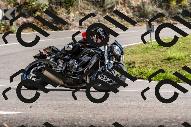 202508311539-_DSC7518_d2_