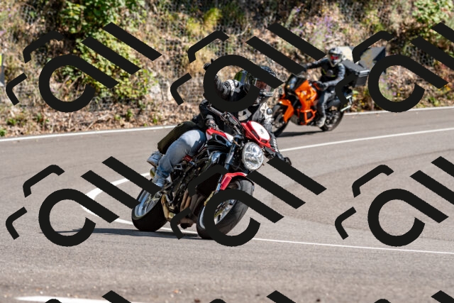 202508311541-_DSC7522_d2_