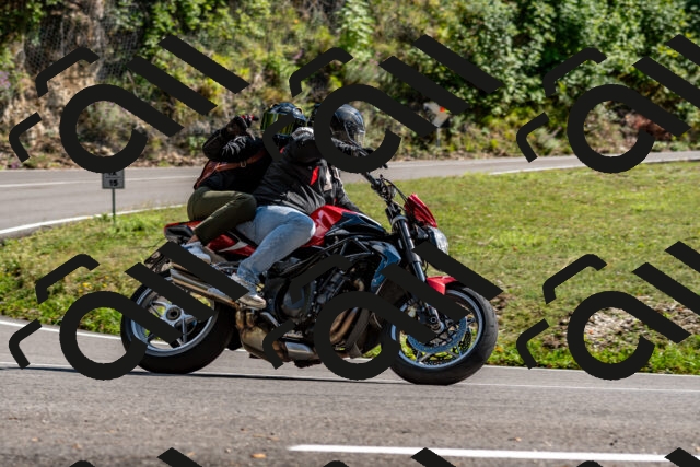 202508311541-_DSC7523_d2_