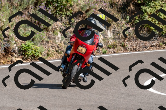 202508311543-_DSC7530_d2_