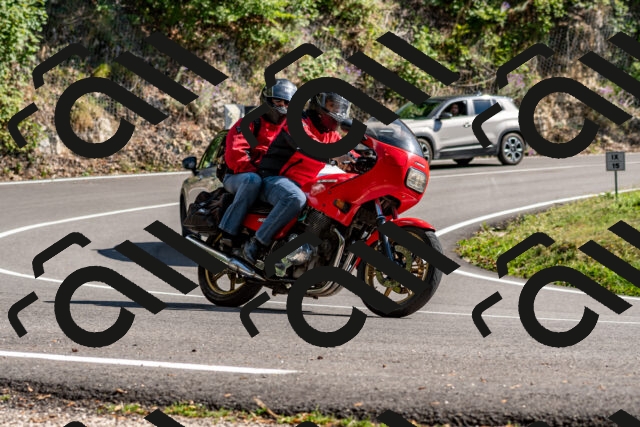 202508311543-_DSC7531_d2_