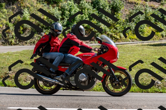 202508311543-_DSC7532_d2_