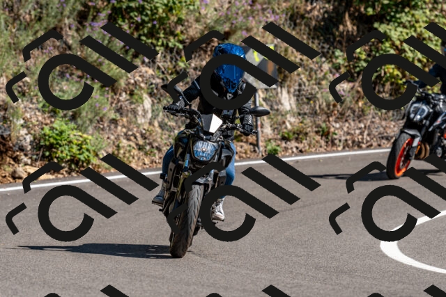 202508311545-_DSC7544_d2_