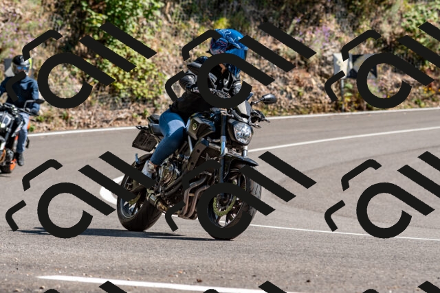 202508311545-_DSC7545_d2_