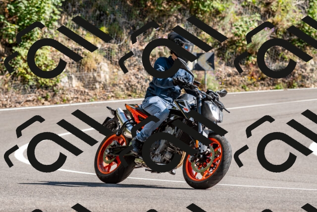 202508311545-_DSC7547_d2_