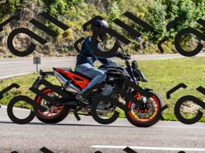 202508311545-_DSC7548_d2_