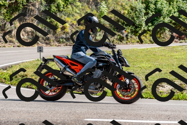 202508311545-_DSC7548_d2_