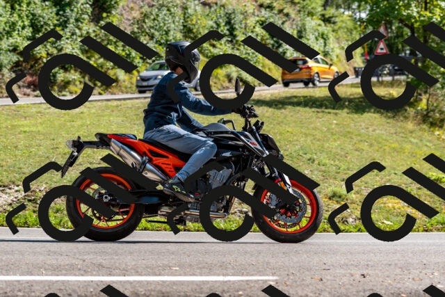 202508311545-_DSC7549_d2_