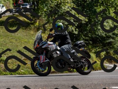 202508311546-_DSC7551_d2_