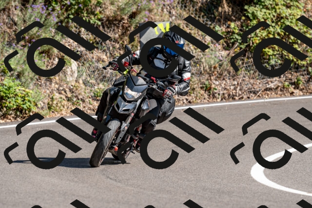 202508311549-_DSC7575_d2_