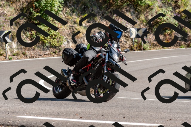 202508311549-_DSC7576_d2_