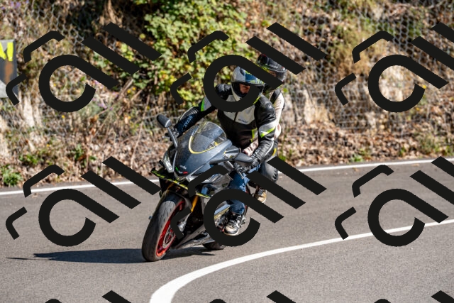 202508311553-_DSC7589_d2_