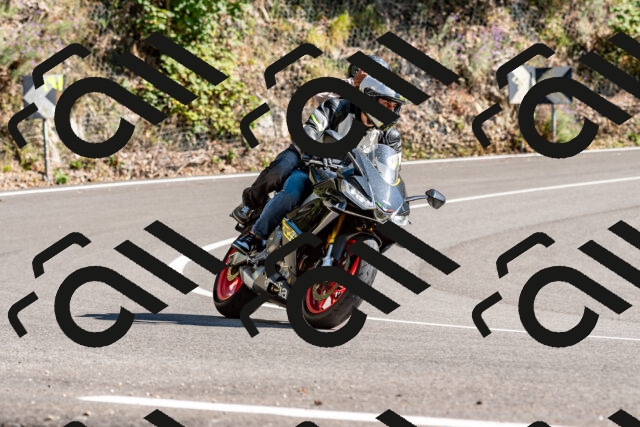 202508311553-_DSC7590_d2_