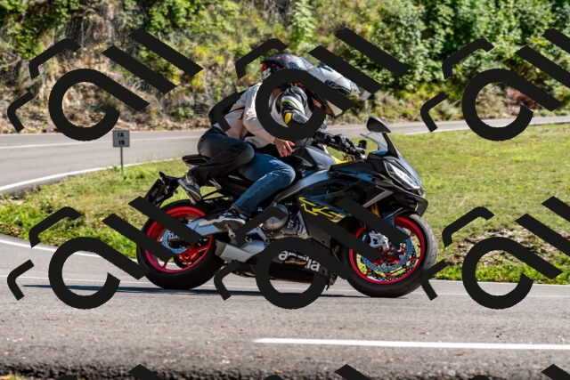 202508311553-_DSC7591_d2_