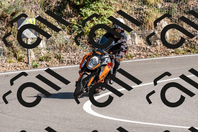 202508311554-_DSC7593_d2_