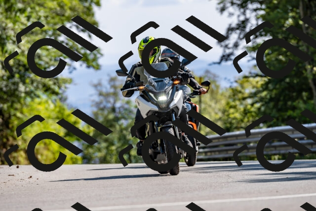 202508311558-_DSC7610_d2_