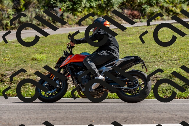 202508311558-_DSC7614_d2_