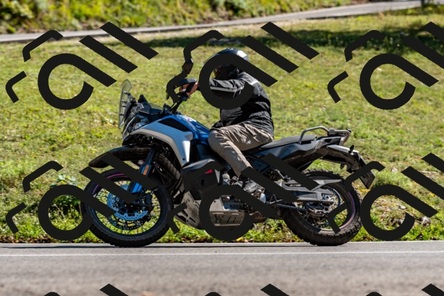 202508311558-_DSC7616_d2_