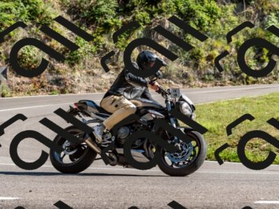 202508311617-_DSC7699_d2_