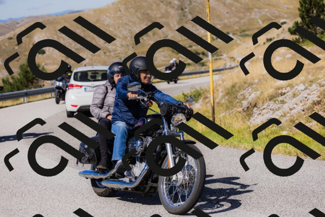 202508311104-_04A5571_c3