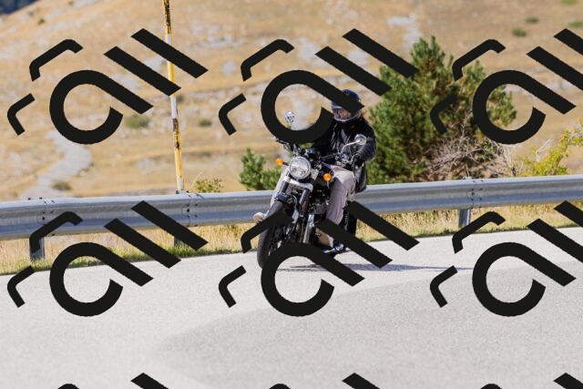 202508311227-_04A5908_c3