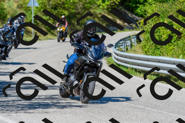 202508311116-R01_3159_r01_