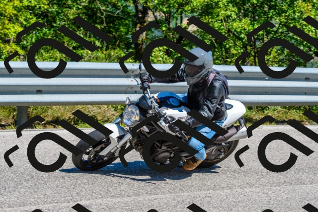 202508311219-R01_3921_r01_