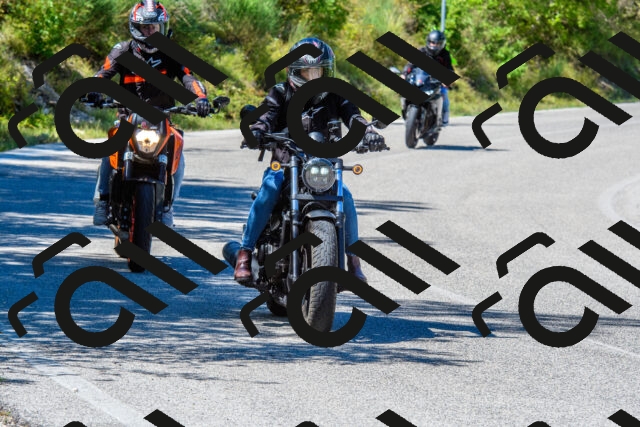 202508311219-R01_3935_r01_