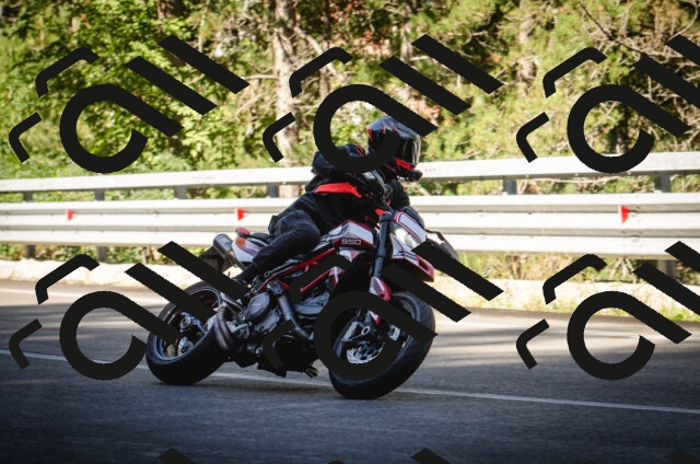 20250831102953-0AP_3260_c5_