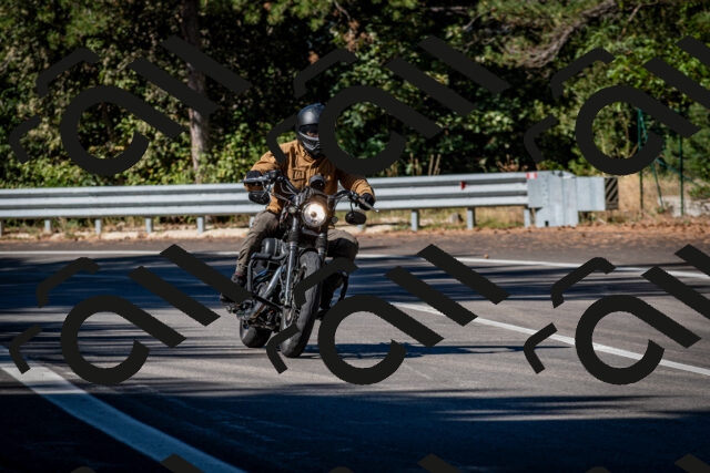 202509041049-DSC_9769_c2