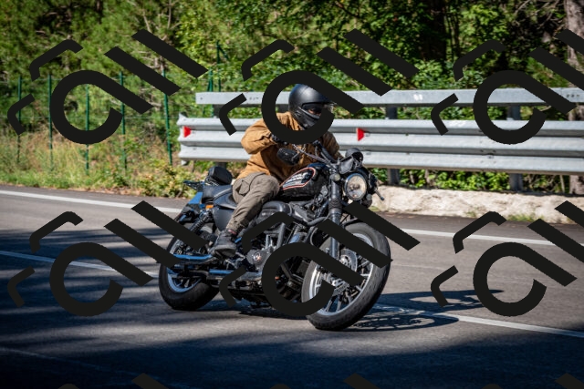 202509041049-DSC_9771_c2