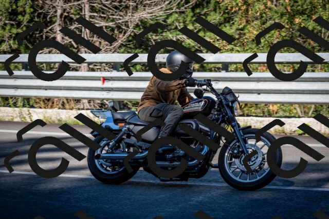 202509041049-DSC_9772_c2