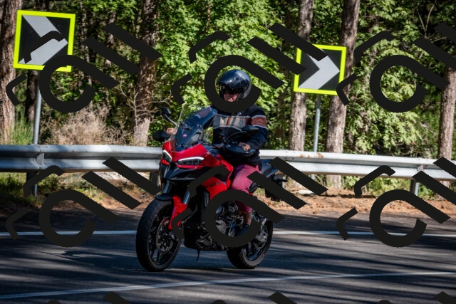 202509041052-DSC_9777_c2