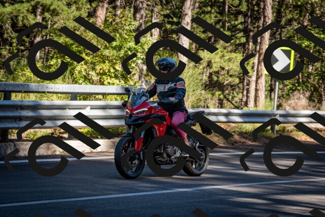 202509041052-DSC_9778_c2