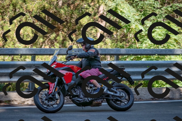 202509041052-DSC_9779_c2