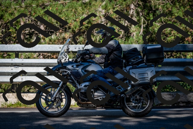 202509041055-DSC_9784_c2