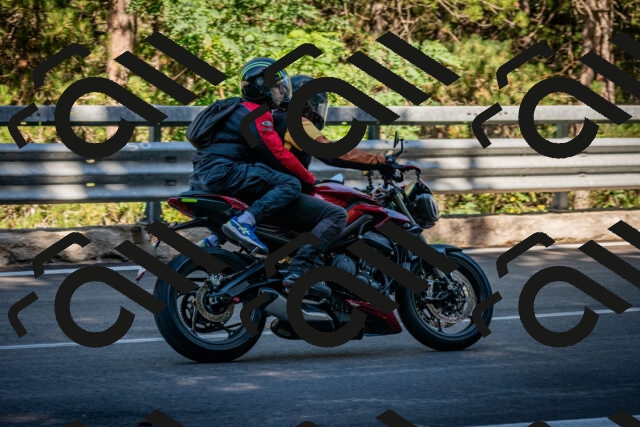 202509041105-DSC_9792_c2