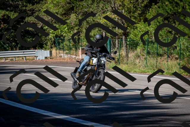 202509041109-DSC_9801_c2