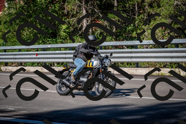 202509041109-DSC_9802_c2