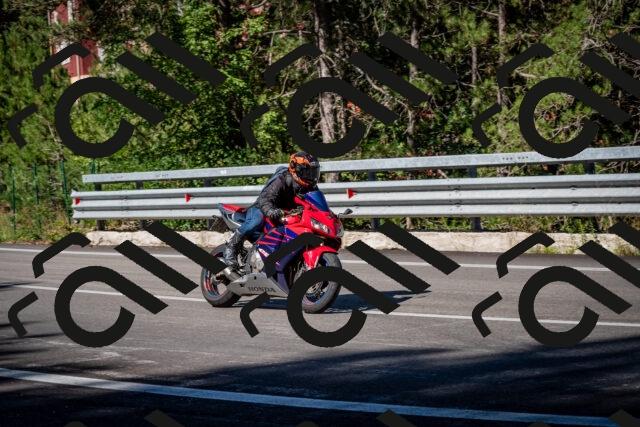 202509041112-DSC_9823_c2